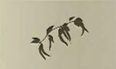 Chili Pepper silhouette
