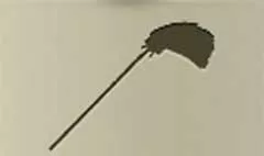 Fan silhouette