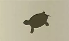 Turtle silhouette