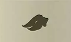 Shoes silhouette