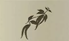 Chili Pepper silhouette