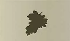 Grapes silhouette