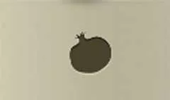 Pomegranate silhouette