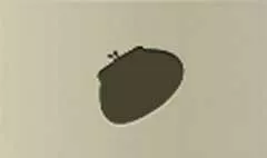 Purse silhouette