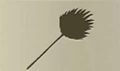 Fan silhouette