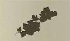 Grapes silhouette