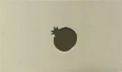Pomegranate silhouette