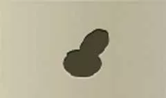 Jewelry Box silhouette
