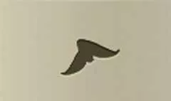 Shoes silhouette