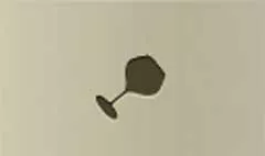 Wineglass silhouette