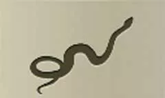 Snake silhouette