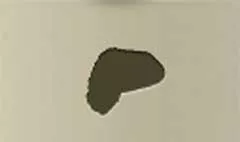 Turban silhouette