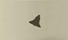 Bell silhouette