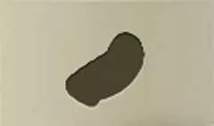 Turban silhouette