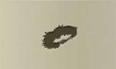 Wreath silhouette