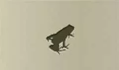 Frog silhouette