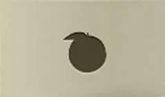 Peach silhouette