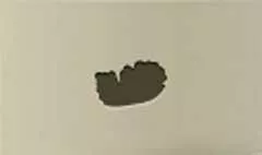 Pomegranate silhouette