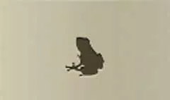 Frog silhouette