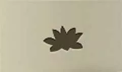 Lotus silhouette