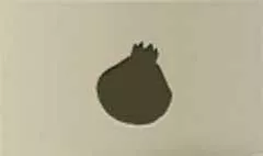 Pomegranate silhouette