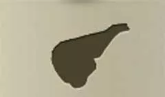 Elephant silhouette