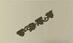 Grapes silhouette