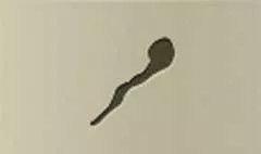 Pipe silhouette