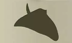 Pirate Hat