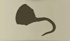 Pirate's Hook