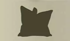 Cushion