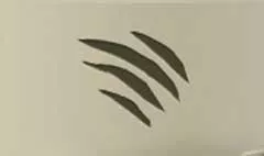 Claw Marks