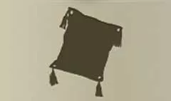 Cushion