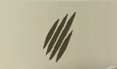 Claw Marks