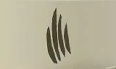 Claw Marks