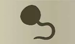 Pirate's Hook