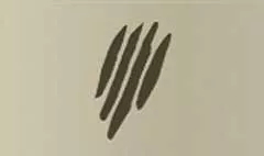 Claw Marks