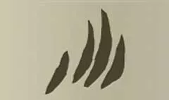 Claw Marks