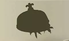 Cloche Cover
