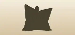 Cushion