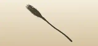Broom