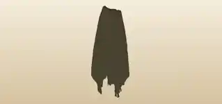 Blanket