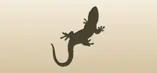 Gecko