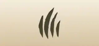 Claw Marks