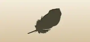 Feather silhouette