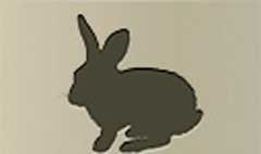 Rabbit silhouette