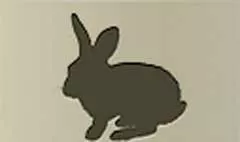 うさぎのシルエット