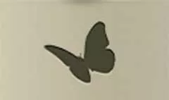 ちょうちょうのシルエット