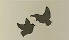 2羽の鳩のシルエット