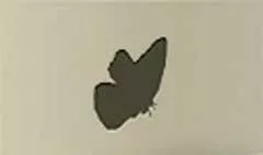 ちょうちょうのシルエット